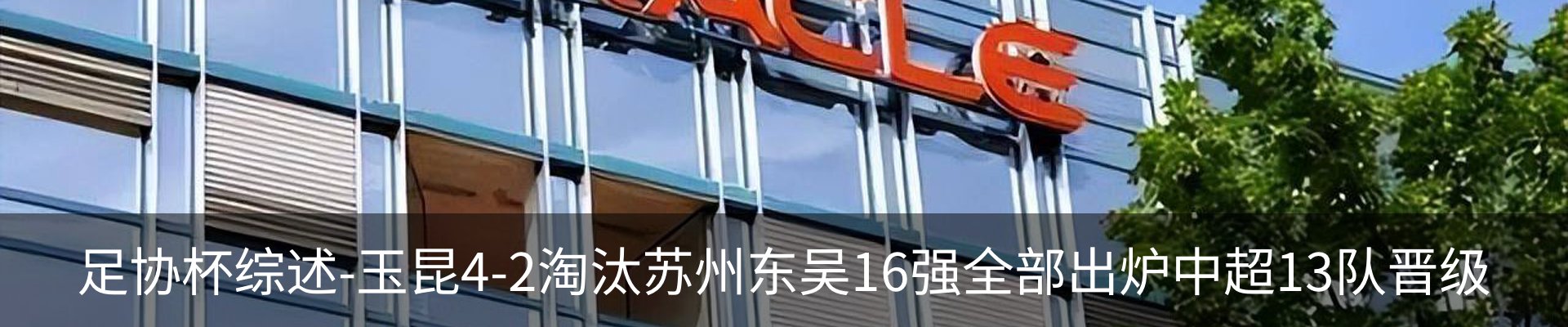 最新动态